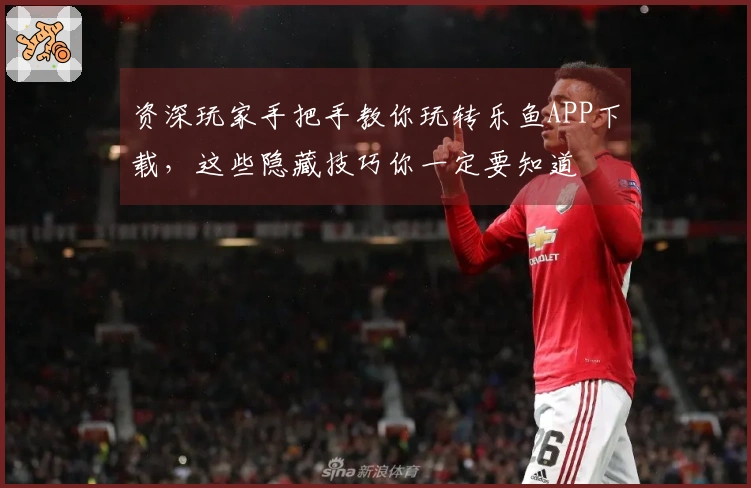 资深玩家手把手教你玩转乐鱼APP下载，这些隐藏技巧你一定要知道