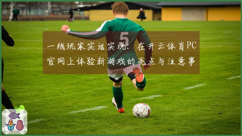 一线玩家实话实说：在开云体育PC官网上体验新游戏的亮点与注意事项