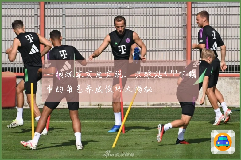 一线玩家实话实说：买球站APP下载中的角色养成技巧大揭秘