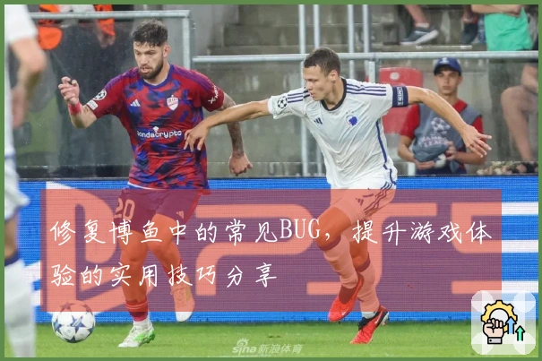 修复博鱼中的常见BUG，提升游戏体验的实用技巧分享