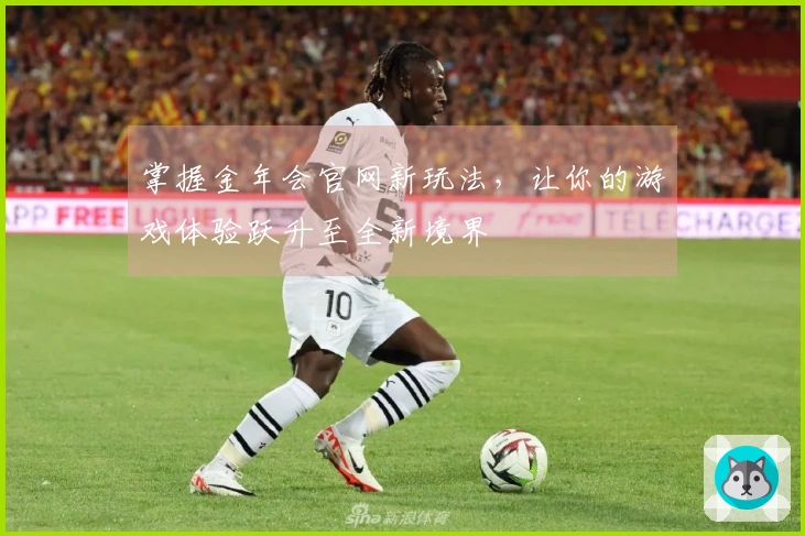 掌握金年会官网新玩法，让你的游戏体验跃升至全新境界